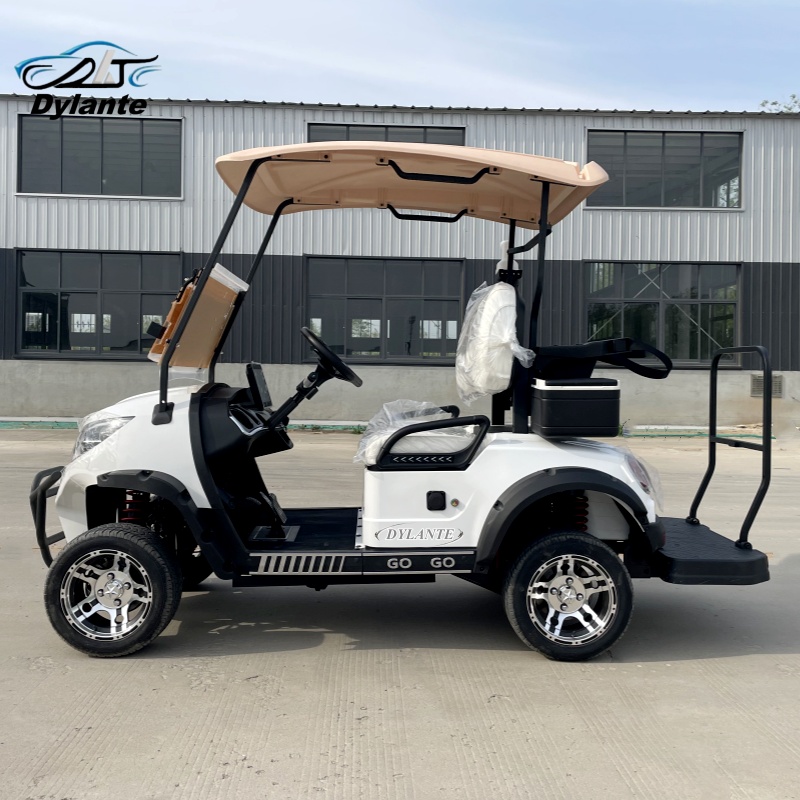 Outdoor Adventure Golf - This Chinese-Made Low-Speed Electric Golf Cart