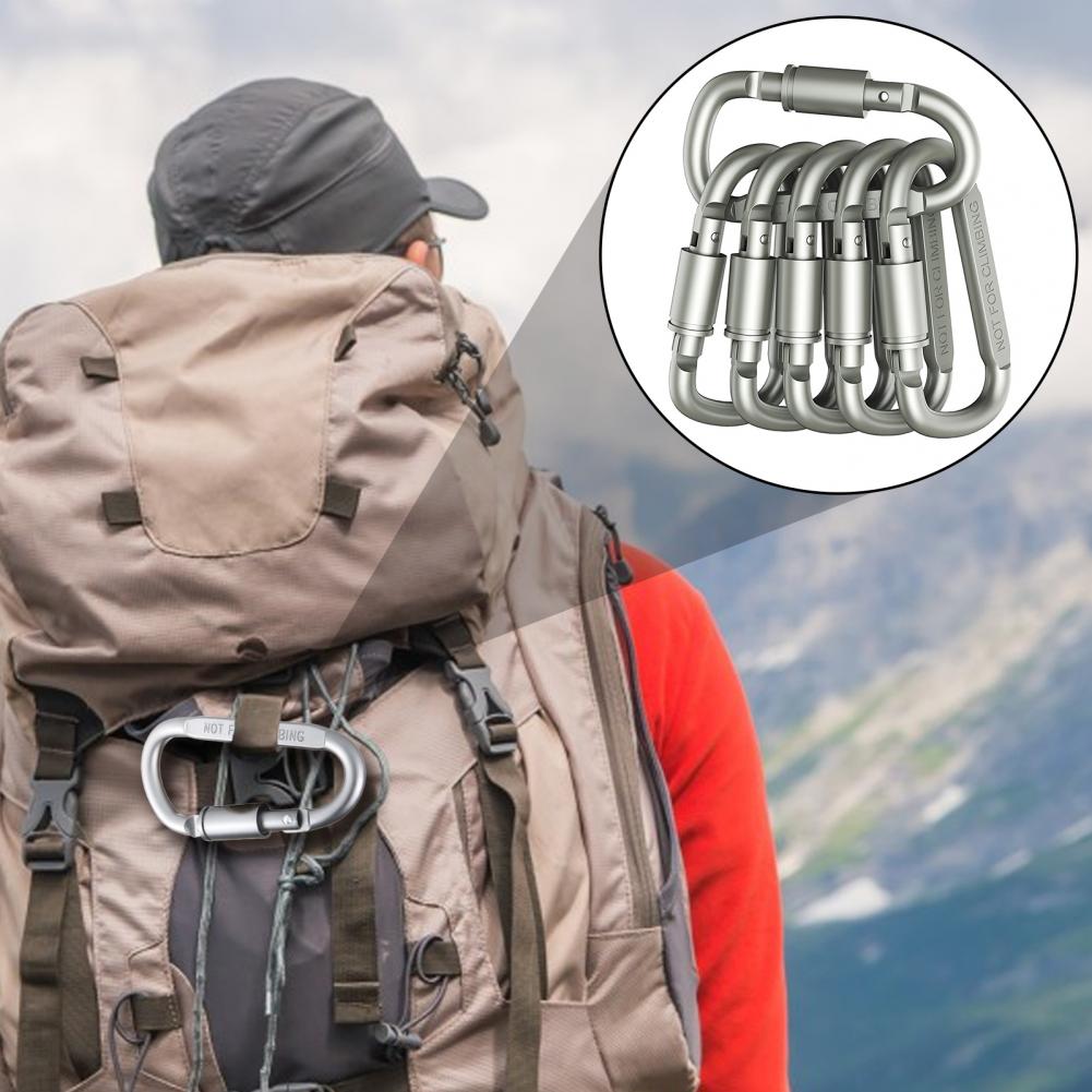Keychain Security Carabiners 6 - đánh giá và giá Carabiner Locking D