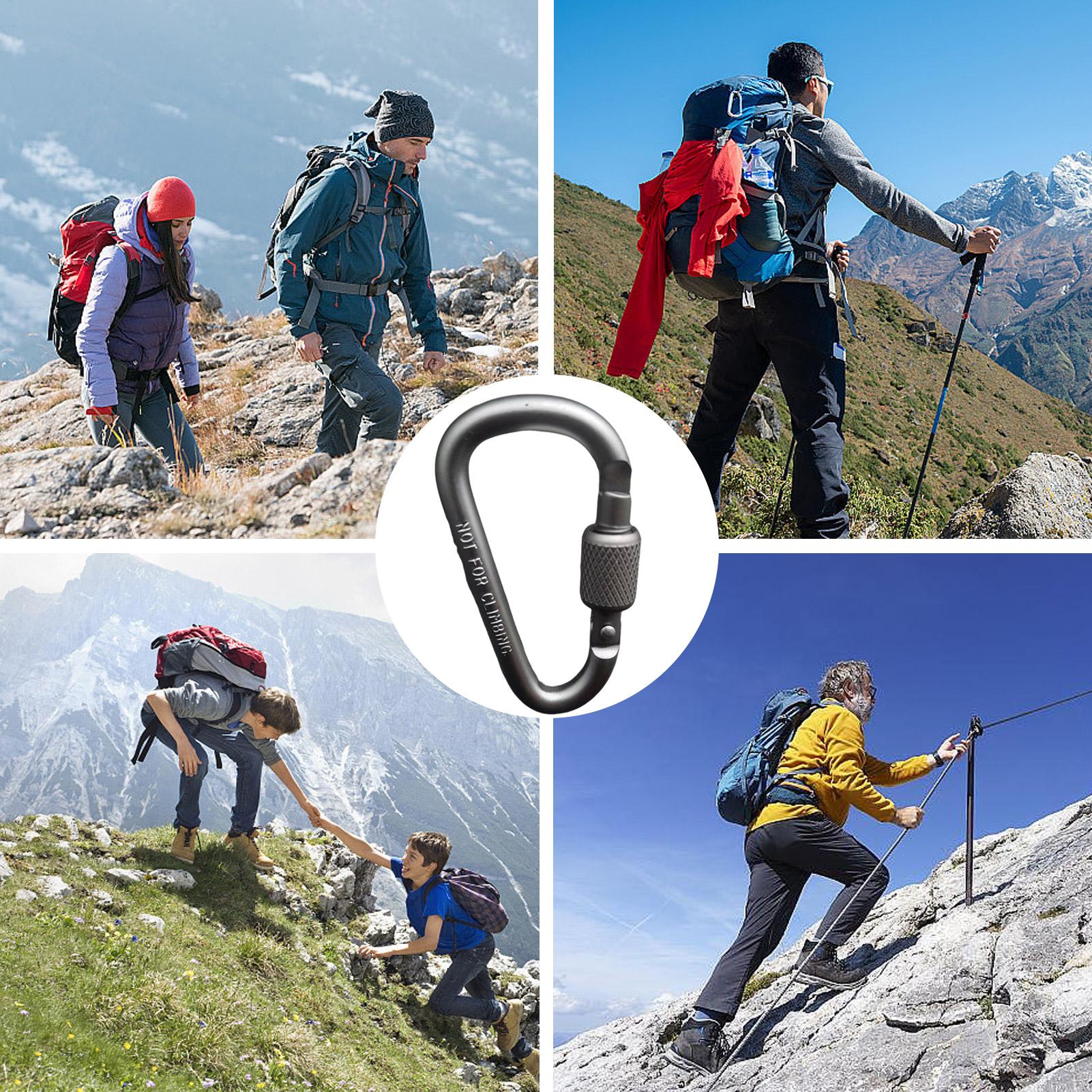 Outdoor Aluminum D Shape Locki - đánh giá và giá Carabiner Locking D
