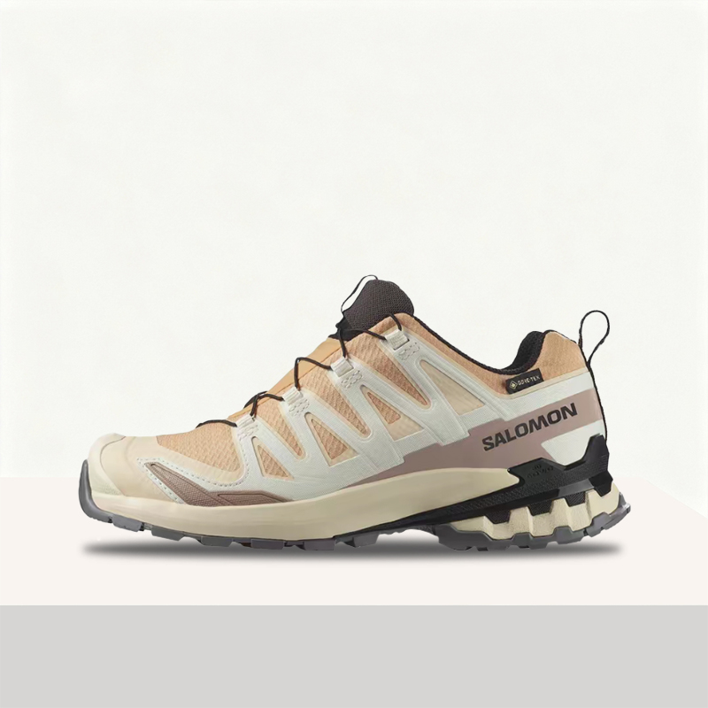 Salomon XA Pro 3D V9 GTX: A lo - đánh giá và giá Salomon Shoes Xa Pro 3D
