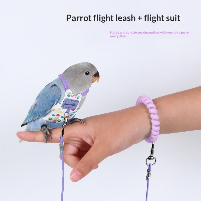 Escape Proof Parrot Harness Le - đánh giá và giá Outdoor Adventure Training