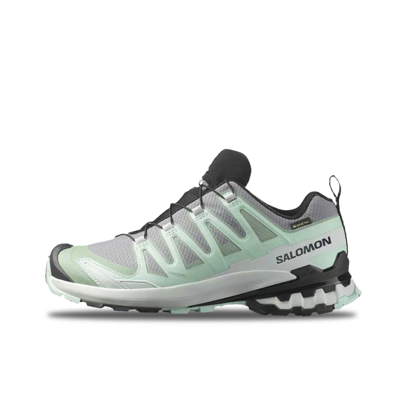 Salomon XA Pro 3D V9 GTX: Styl - đánh giá và giá Salomon Shoes Xa Pro 3D